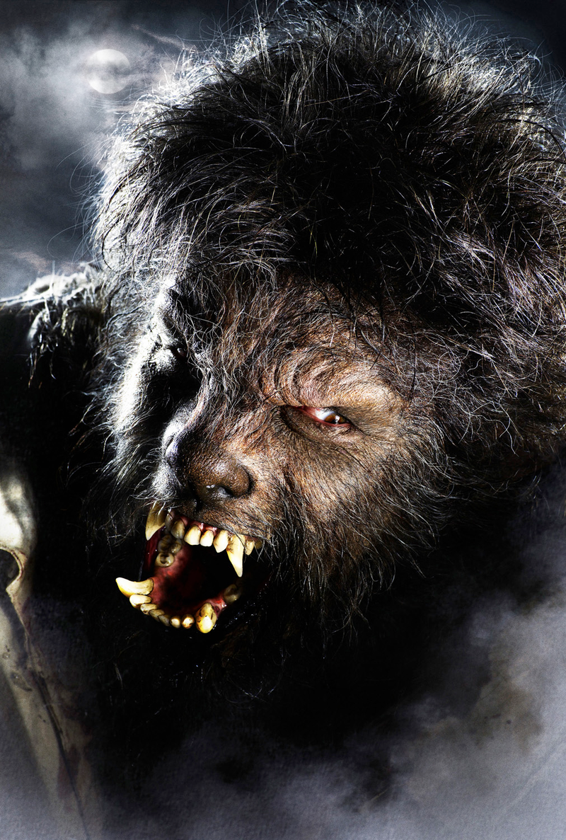 Illustration for article titled Wolfman Gallery